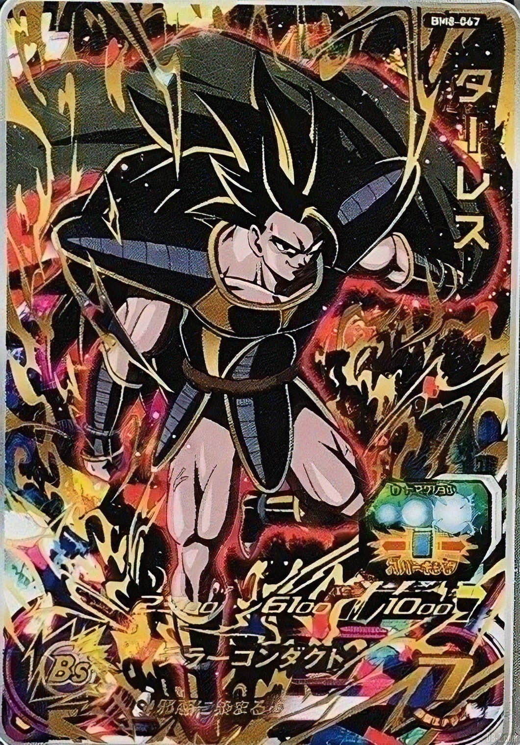 BM8-Turles