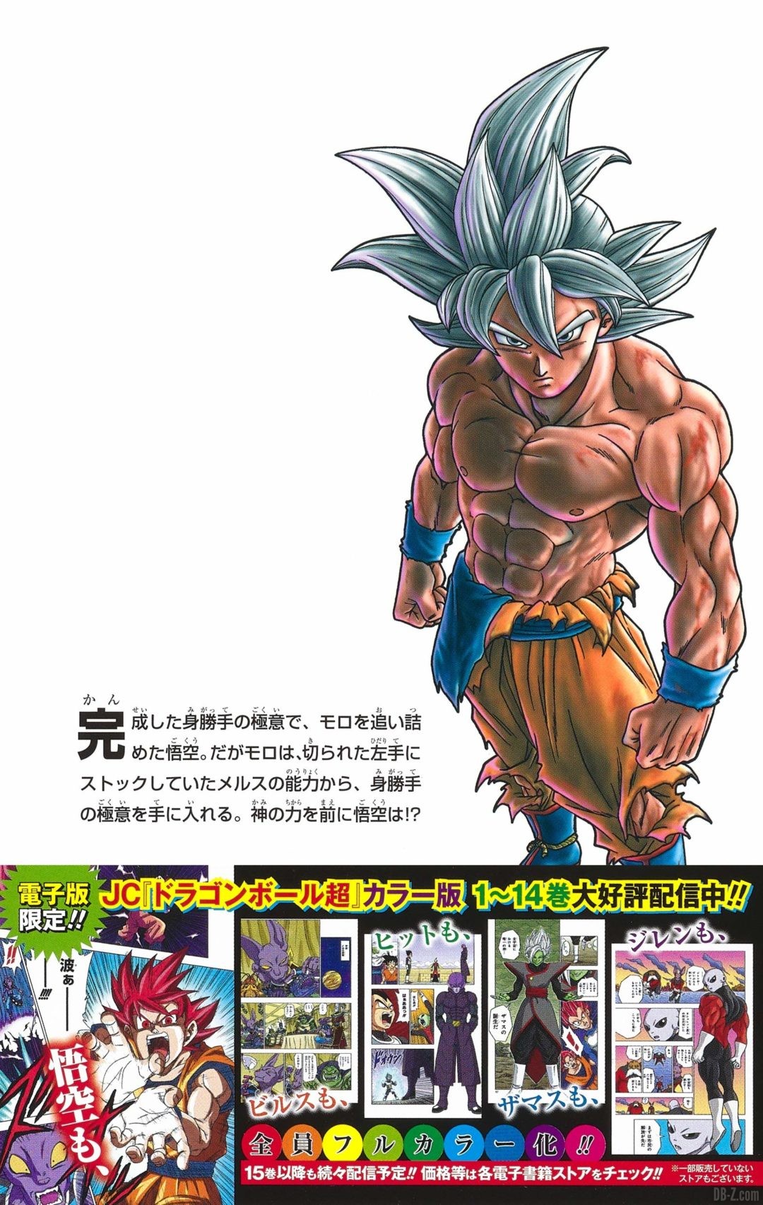 DBS-tome-15-flyer-promotionnel-arriere