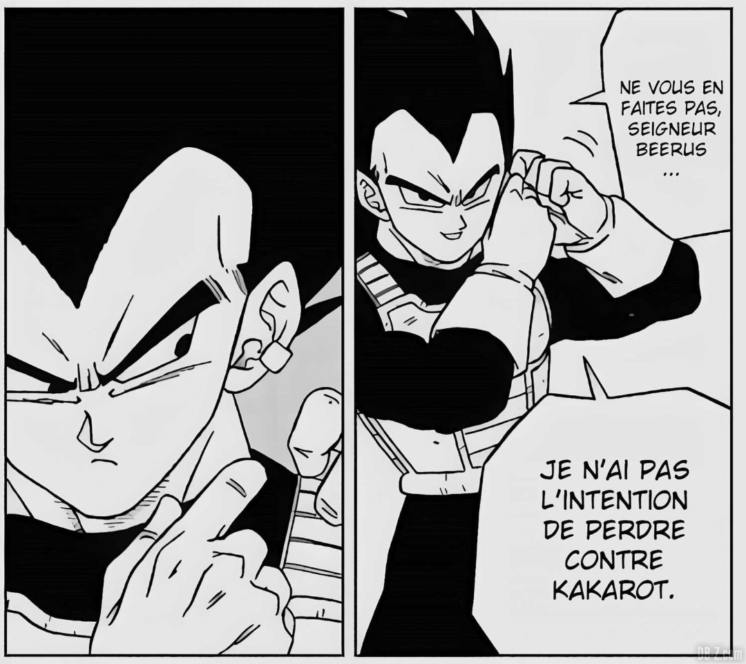 Vegeta-boucle-des-Dieux-de-la-Destruction