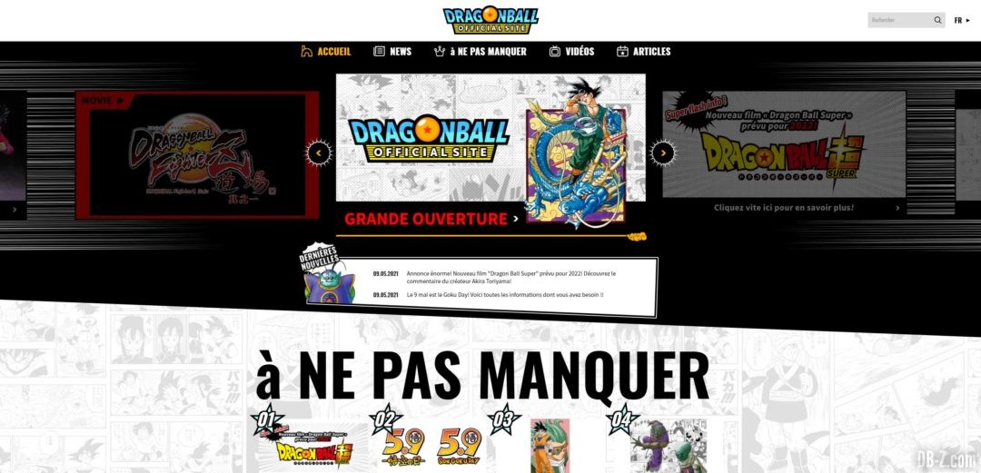 Site-officiel-DB-page-accueil