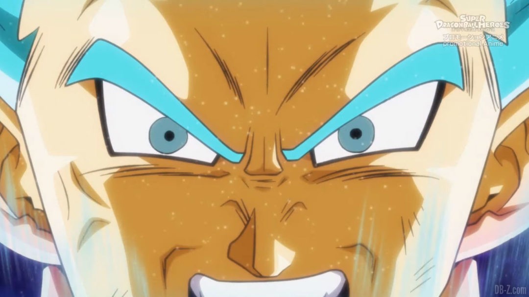 Vegeta-Evil-Super-Saiyan-Blue-Malefique-8