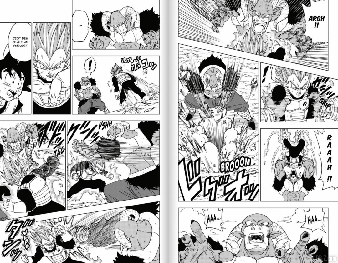 Dragon-Ball-Super-Tome-14-VF-Extrait-5