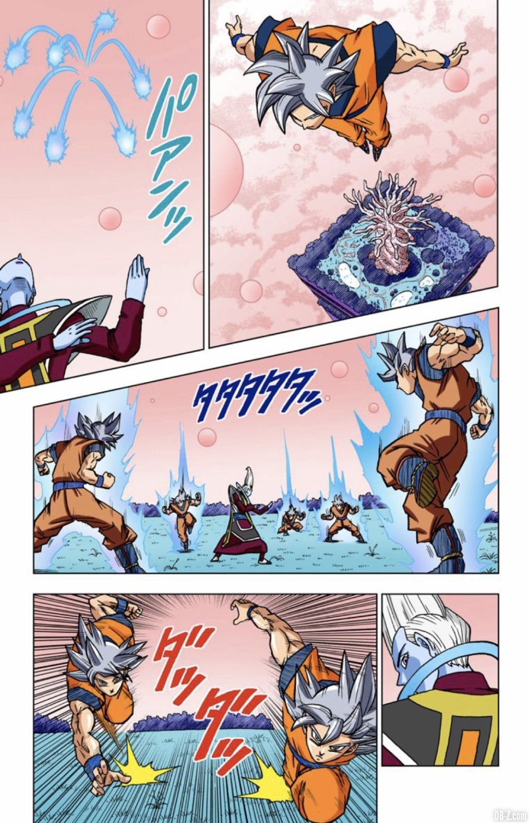 43