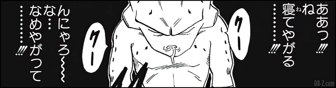 Majin-Buu-dort-manga