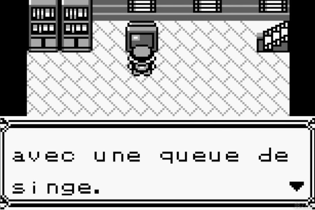 Pokemon-Dragon-Ball-Enfant-a-queue-de-singe-2