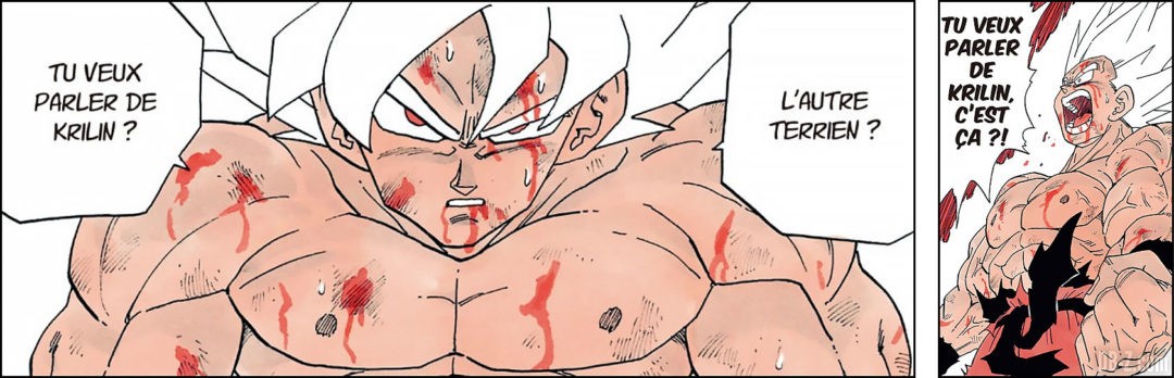 Tu parles de Krilin