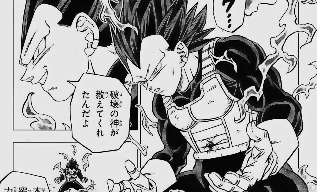 Vegeta-Dieu-de-la-Destruction-Hakaishin