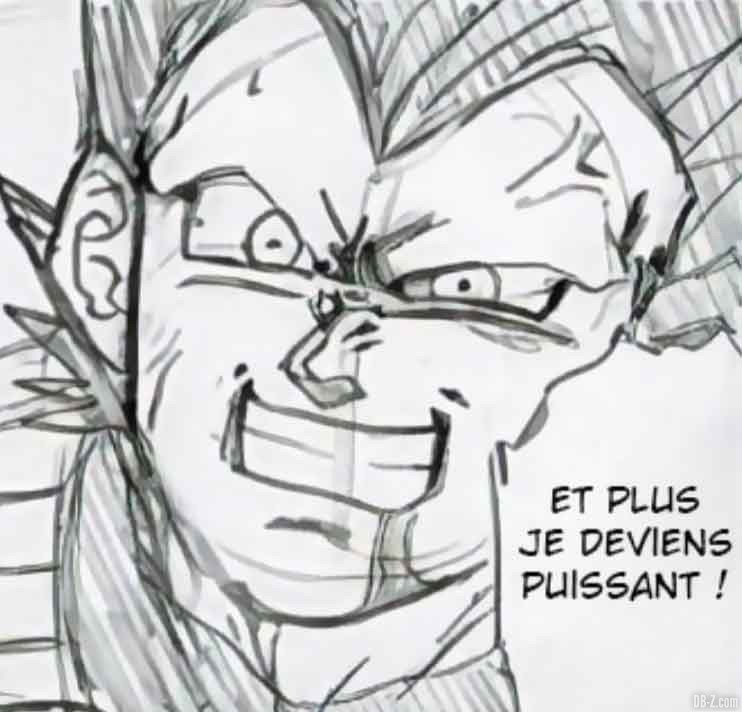 Vegeta-hakaishin