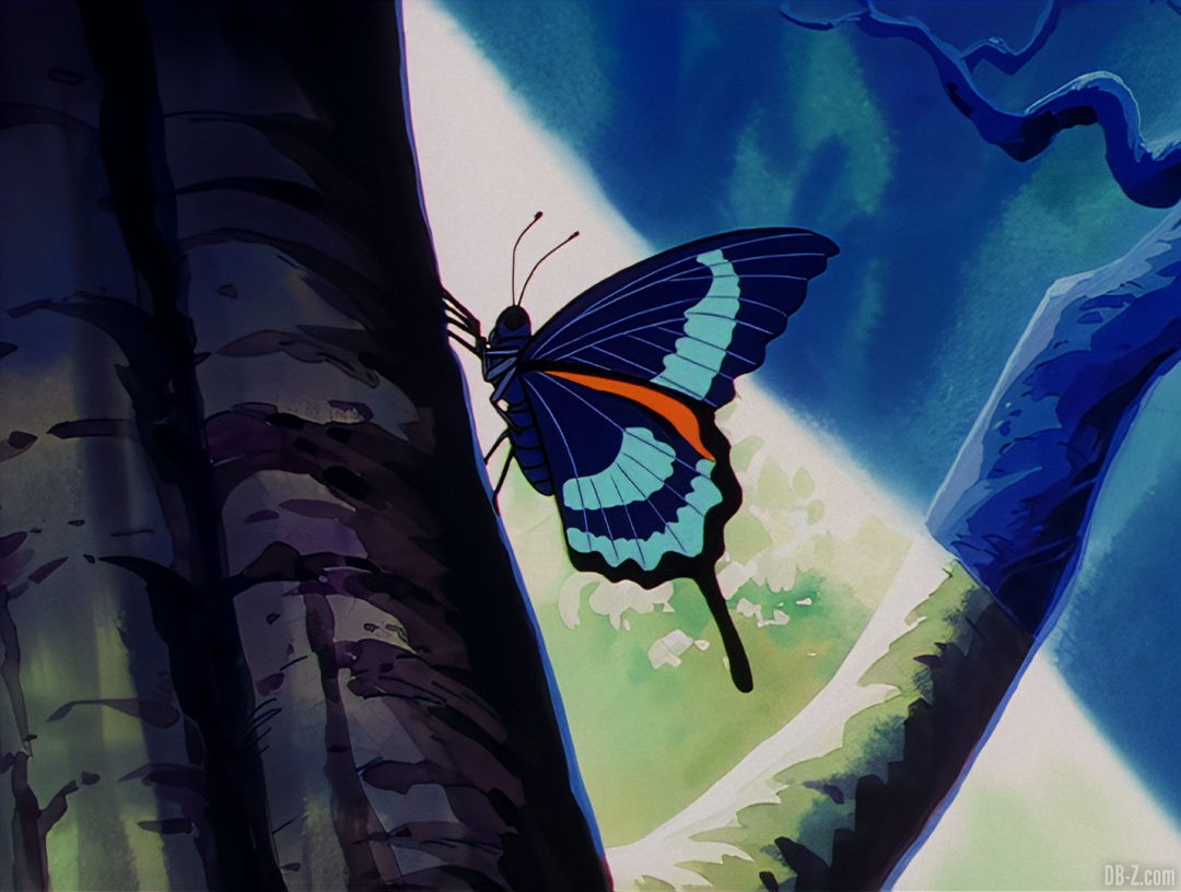 Blu Ray DBZ Selecta Vision 14