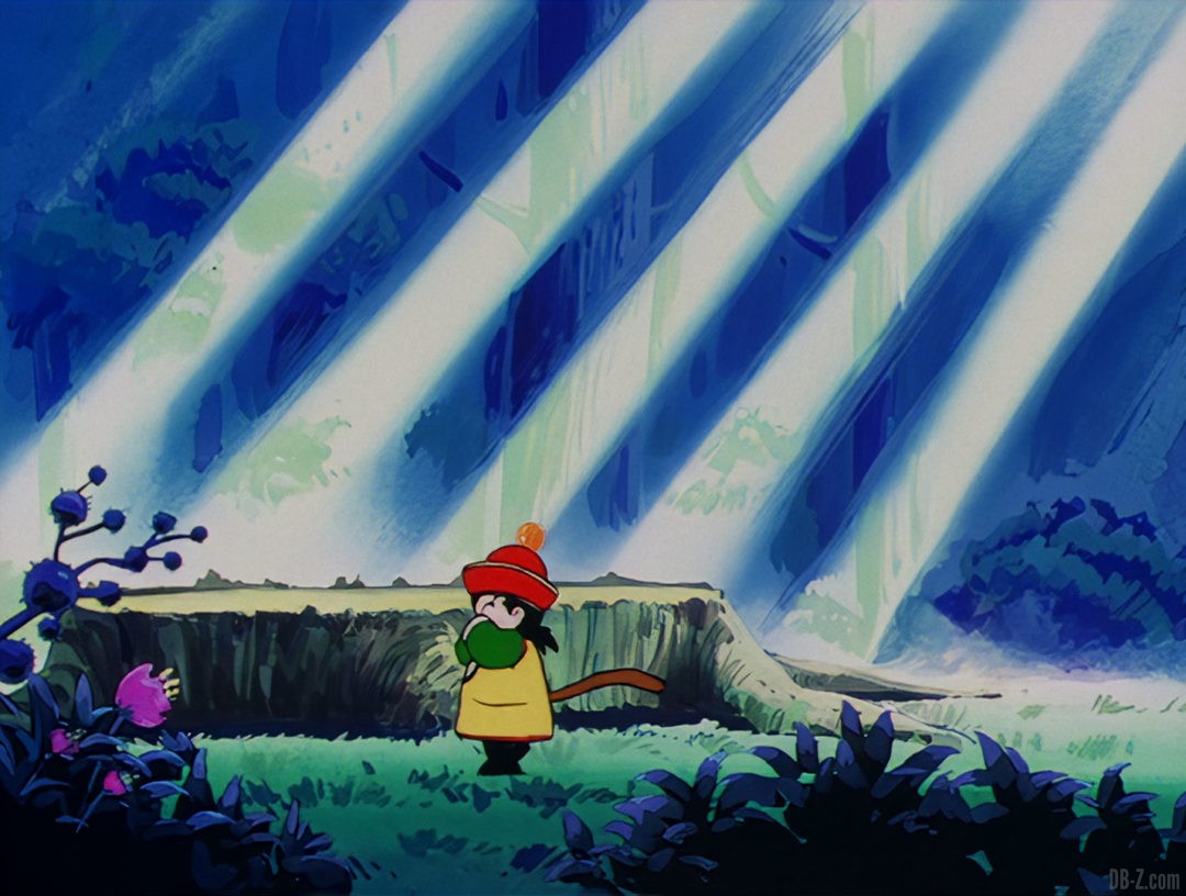 Blu Ray DBZ Selecta Vision 2