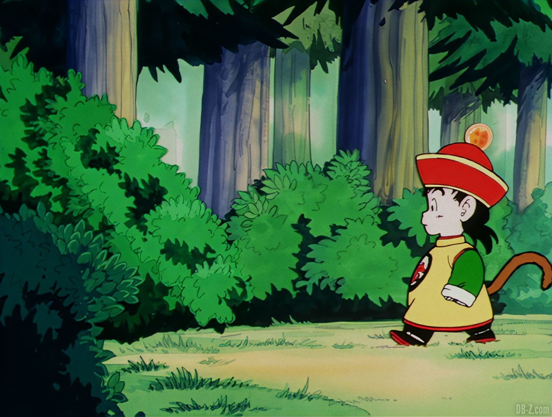 Blu Ray DBZ Selecta Vision 3