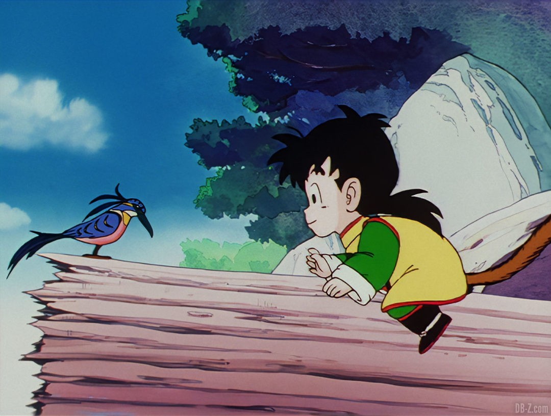 Blu Ray DBZ Selecta Vision 7