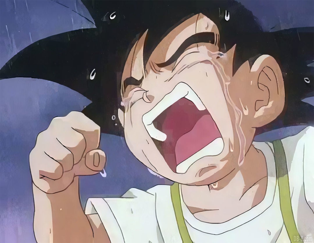 Goku Junior pleure 4