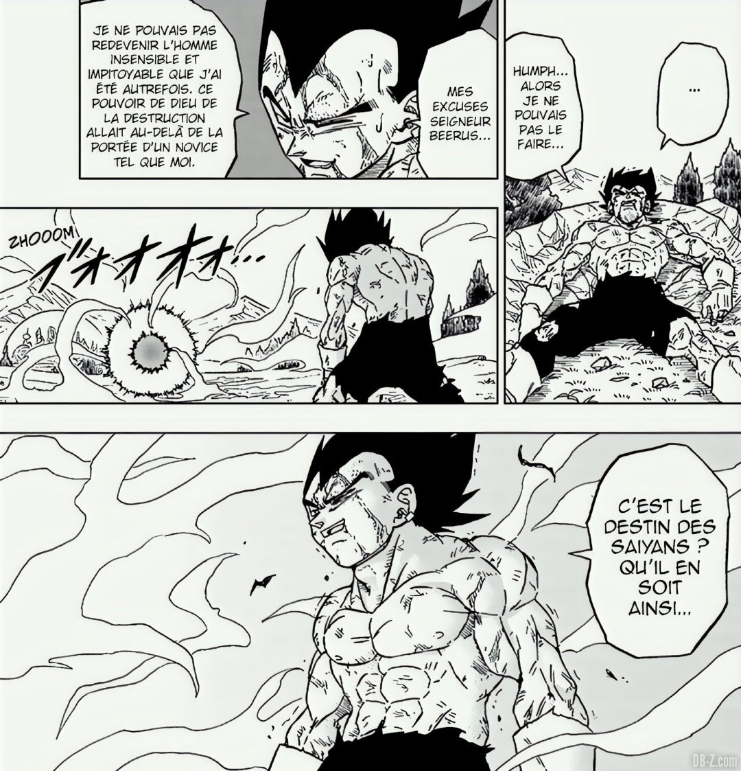 Vegeta se sacrifie Granola
