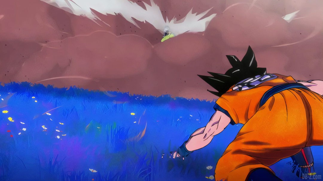 Goku vs broly Super Hero