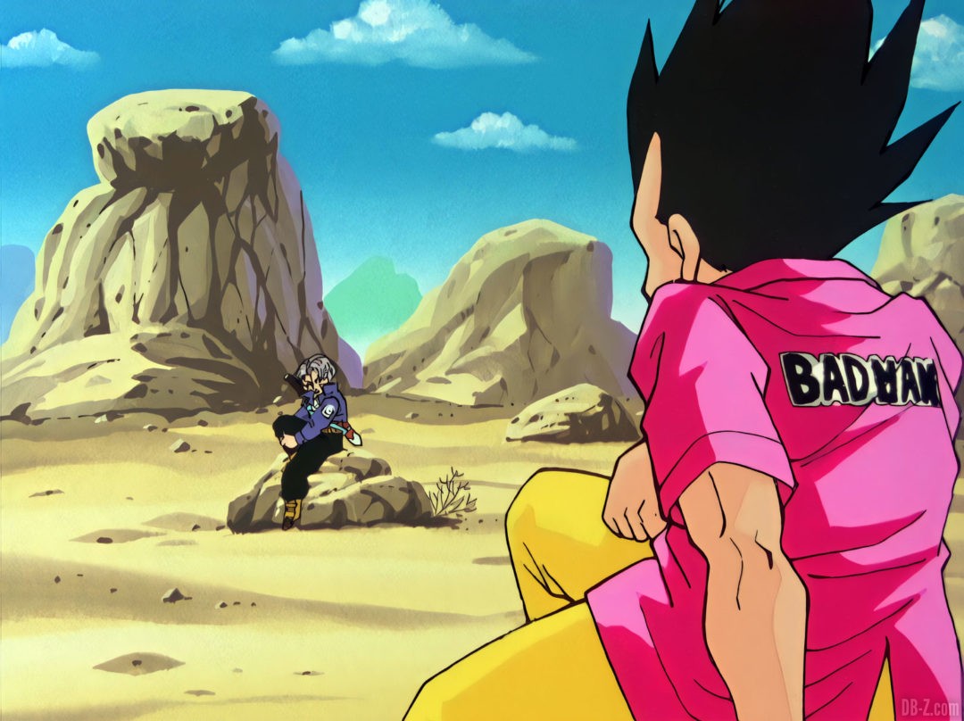 Vegeta Badman 3