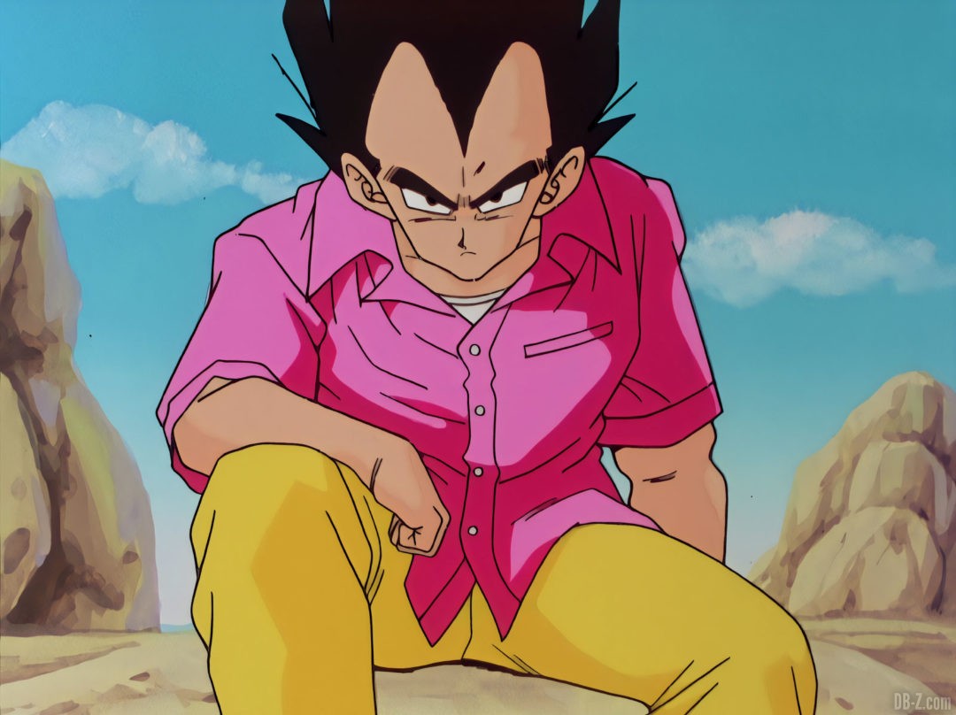 Vegeta Badman 4