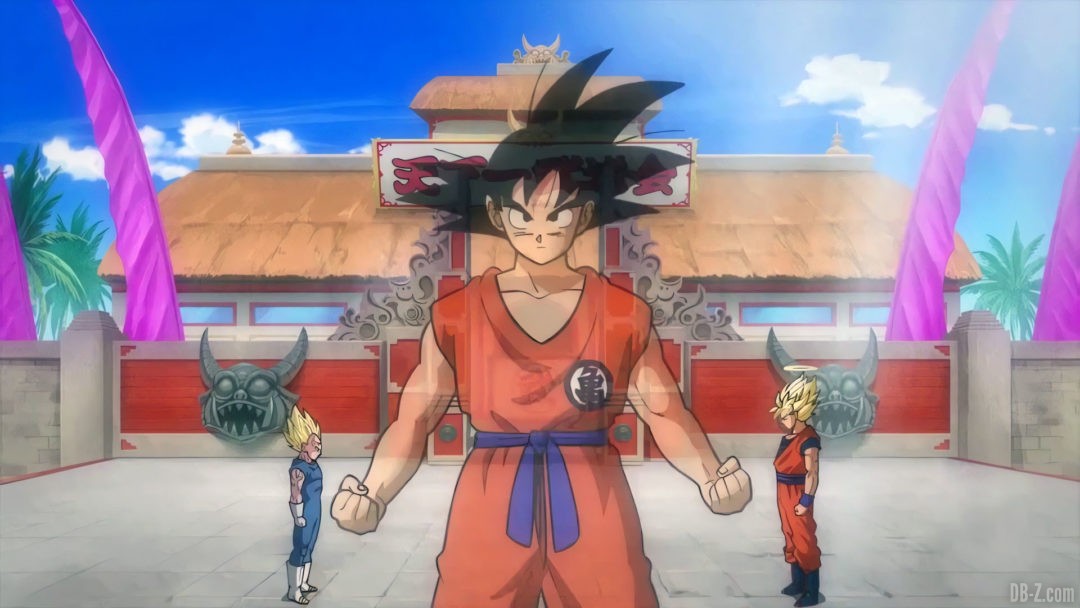 Goku Vegeta tenkaichi budokai