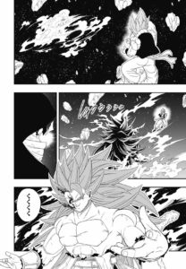 SDBH BM Chapitre 12 Page 13