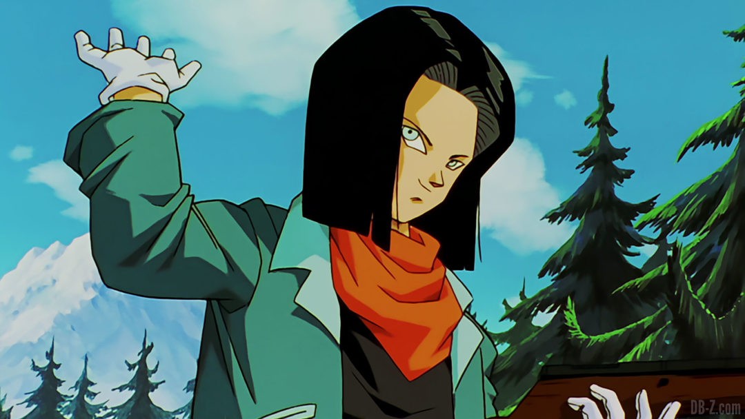 C 17 saga Buu