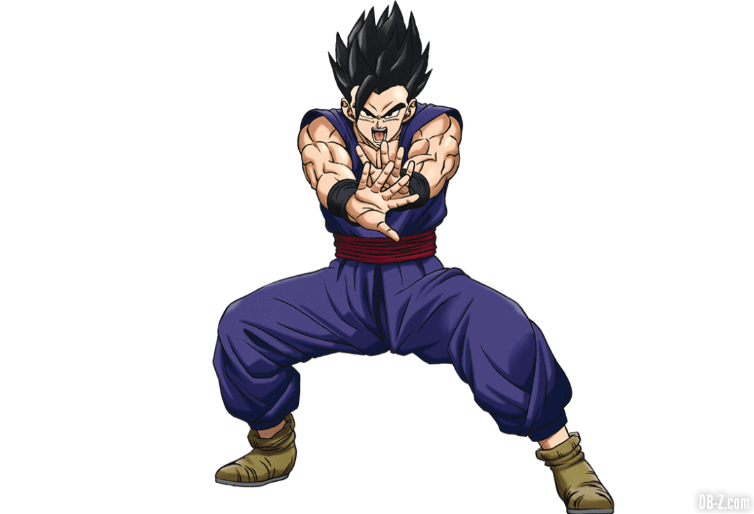 Gohan DBS Super Hero