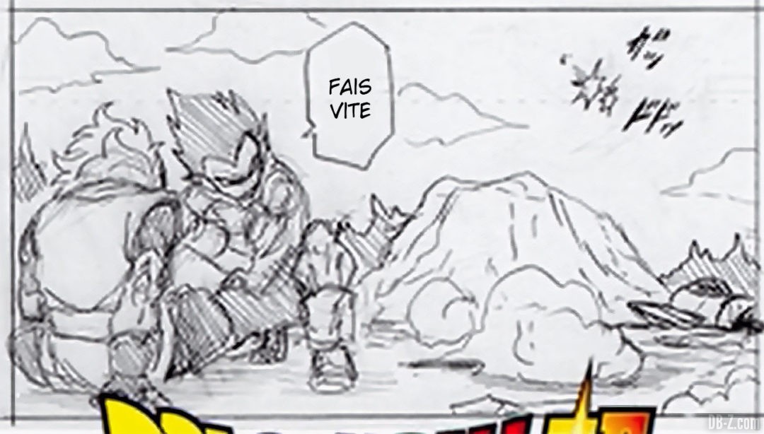 Vegeta soigne Granola