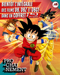 Coffret Film Dragon Ball