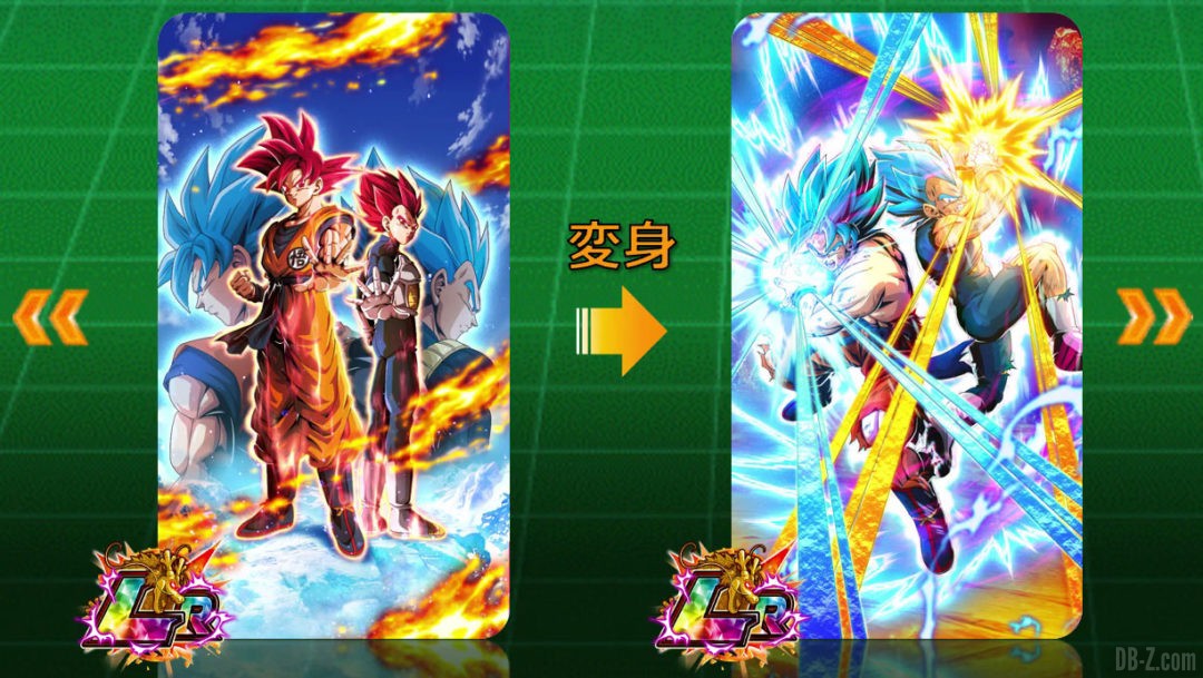 LR Goku Vegeta Super Saiyan God Blue