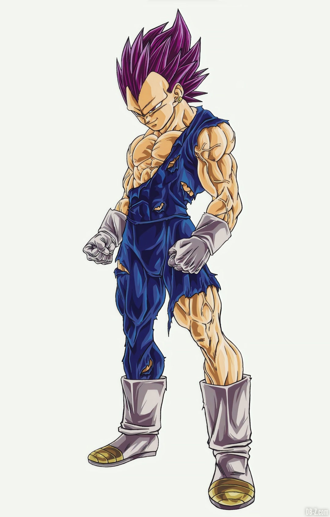 Vegeta Ultra Ego Toyotaro