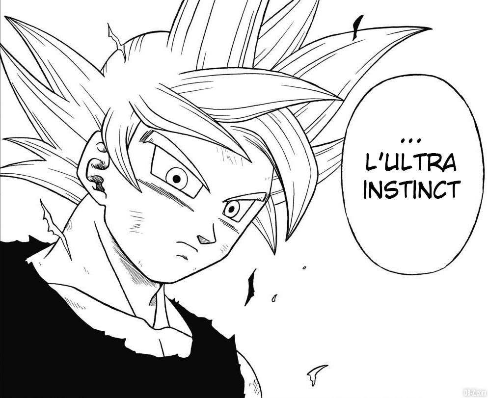 Ultra Instinct Parfait Goku