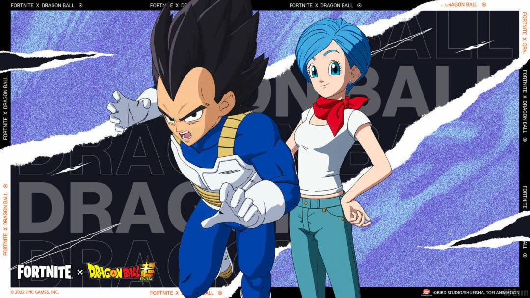 pack vegeta bulma