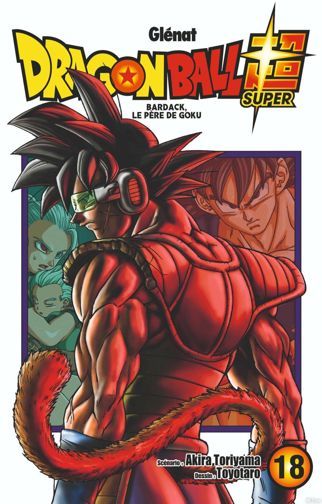 cover tome 18 DBS