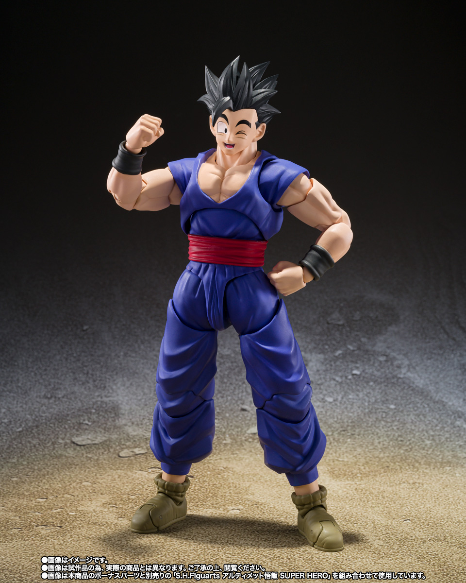 S.H.Figuarts Pan
