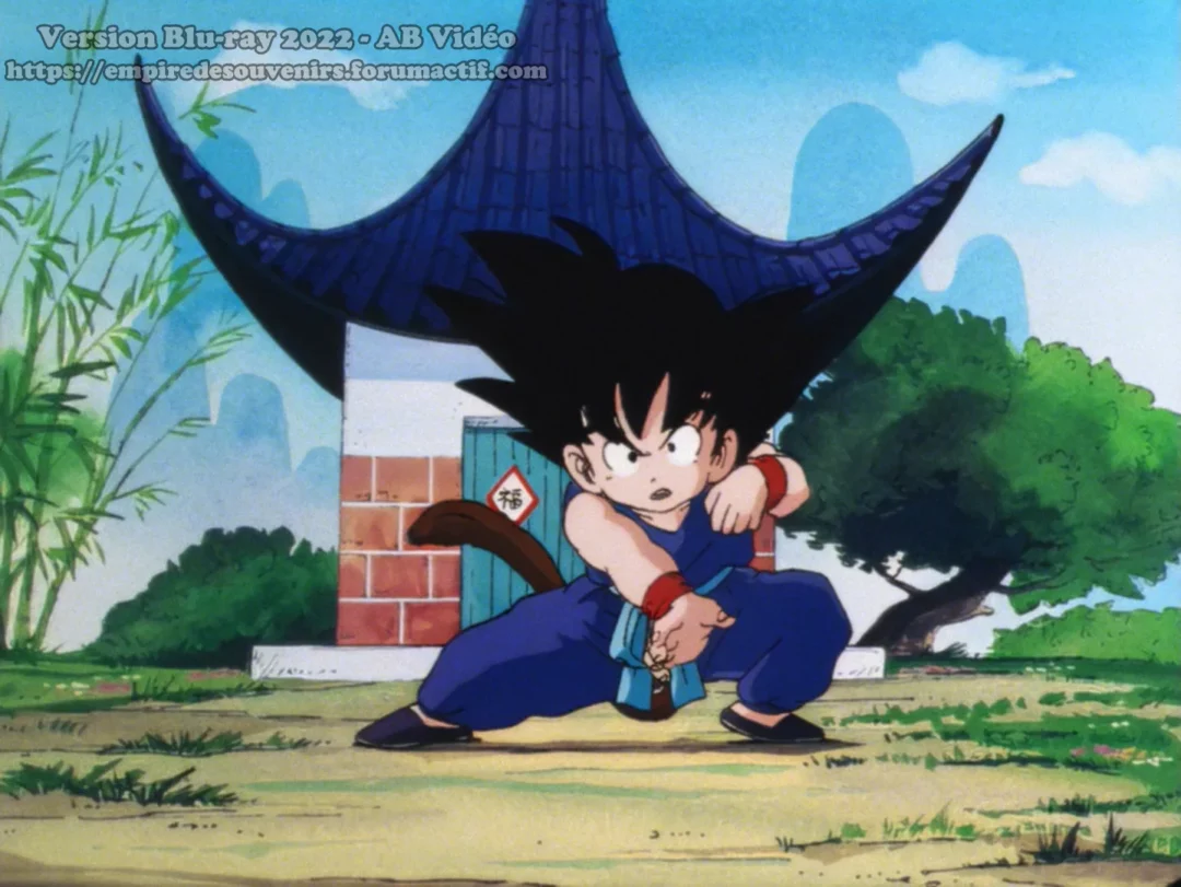 Blu Ray Dragon Ball Version AB Video