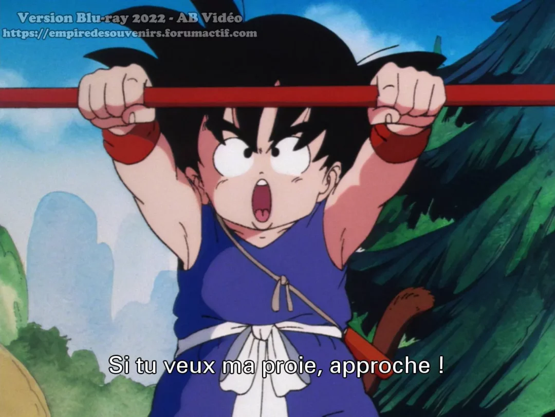 Blu Ray Dragon Ball Version AB Video 4