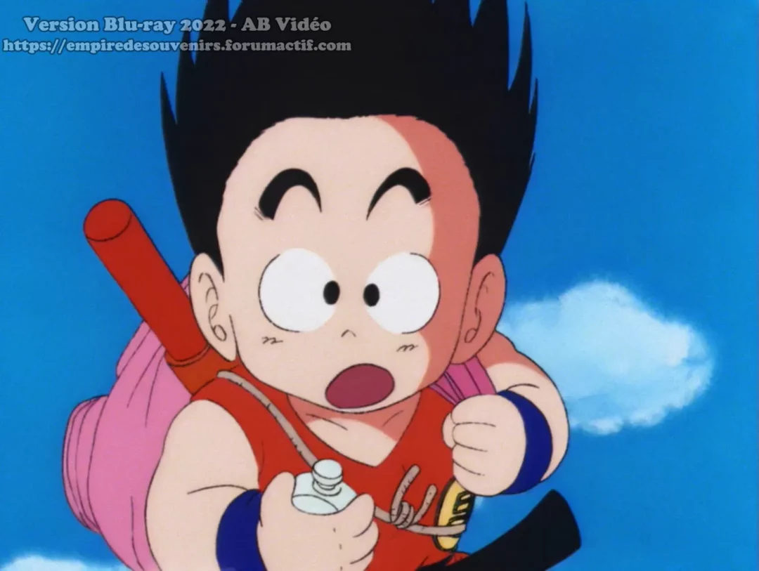 Blu Ray Dragon Ball Version AB Video 6