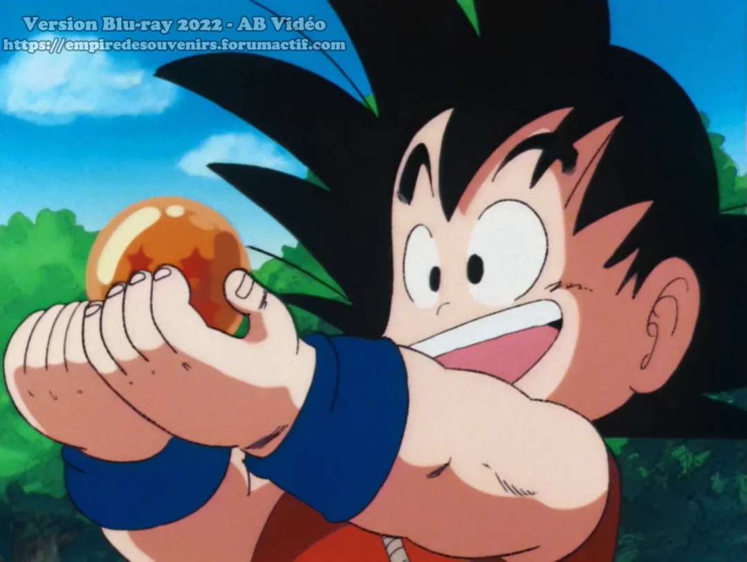 Blu Ray Dragon Ball Version AB Video 8