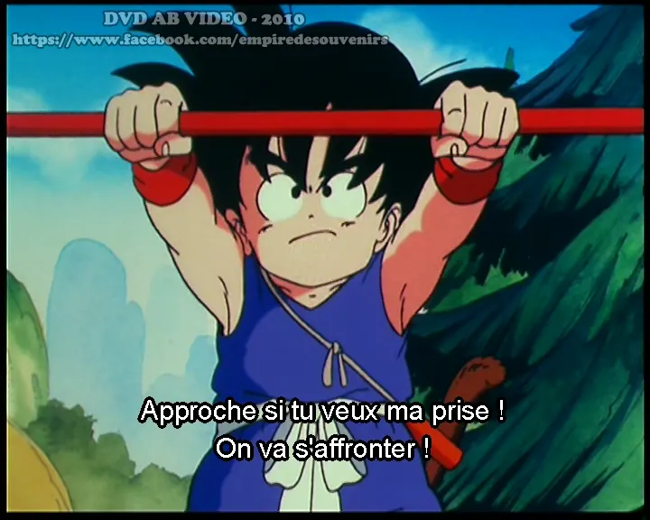 DVD Dragon Ball Version AB Video 4