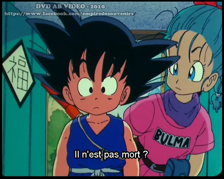 DVD Dragon Ball Version AB Video 5