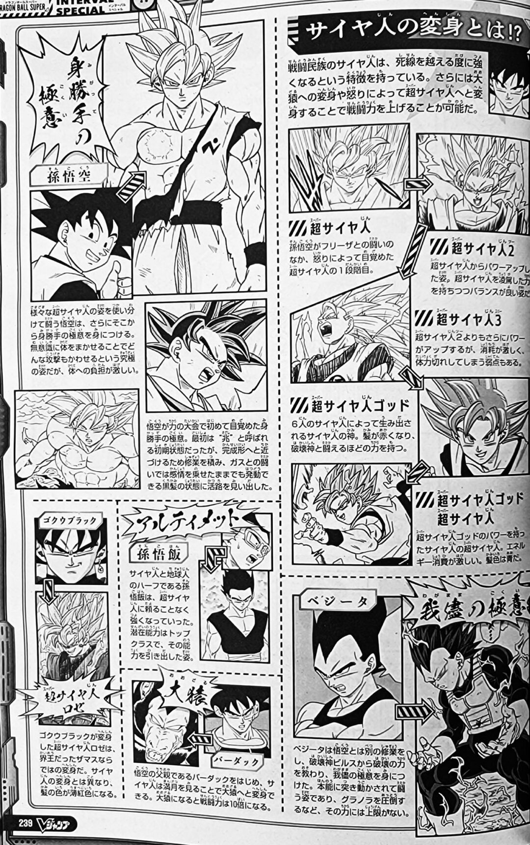 Interval Special Transformations Dragon Ball Page 2