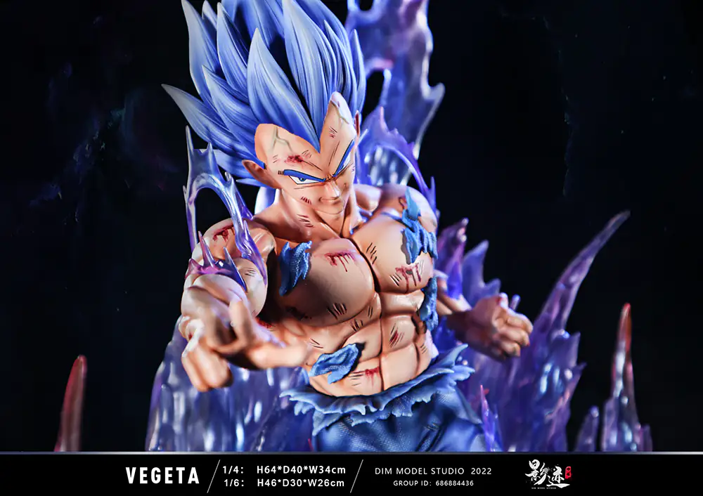 Resine Vegeta SS Blue Evolution DMS Studio 3