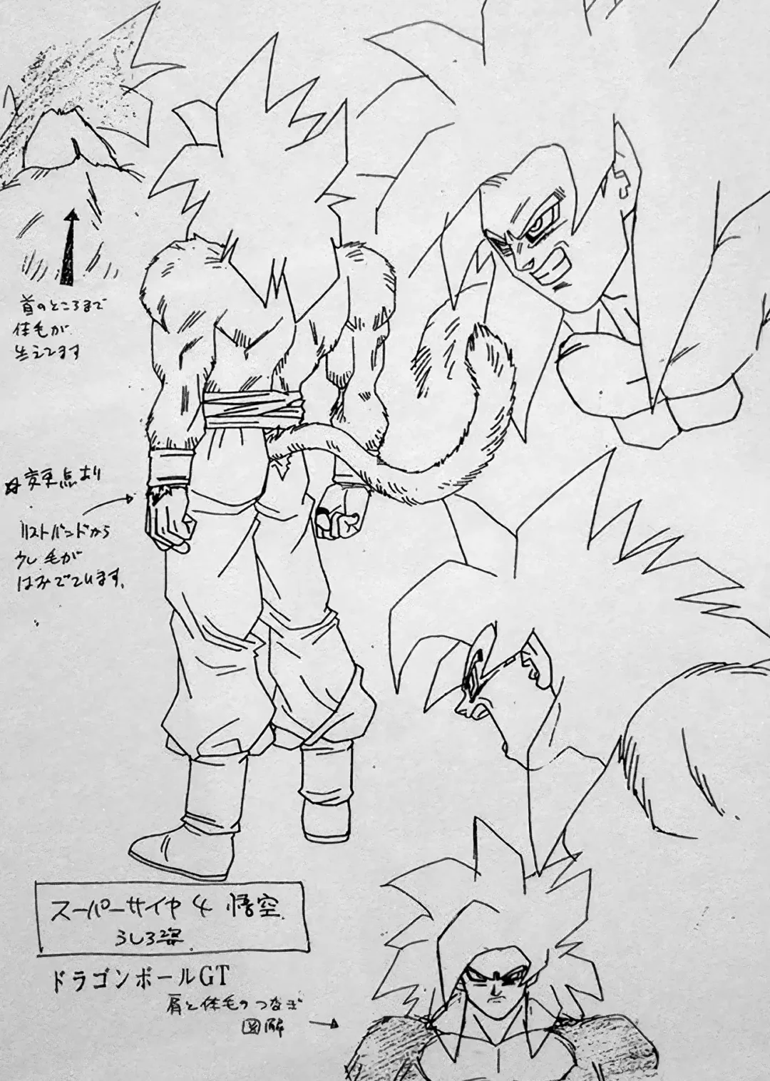 Croquis Super Saiyan 4 par Katsuyoshi Nakatsuru