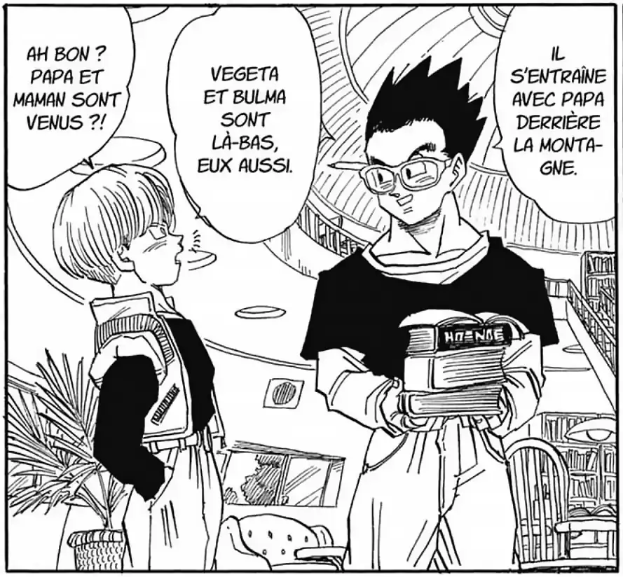 Gohan Fin de Dragon Ball de Toriyama