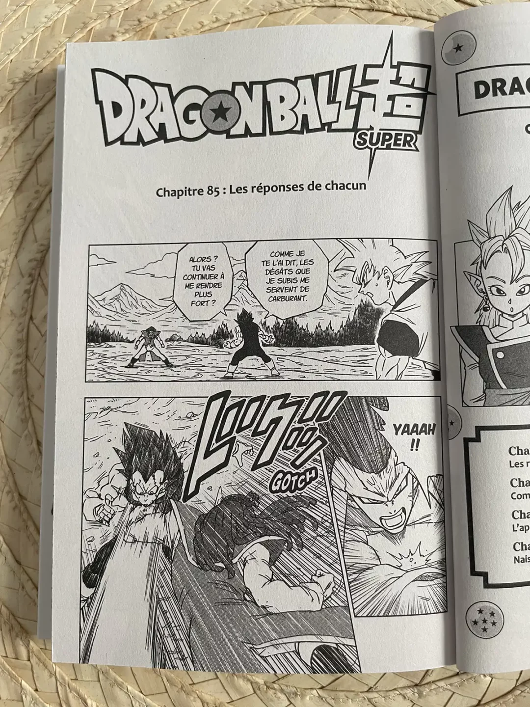 DragonBallSuper Tome 20 Avis 6