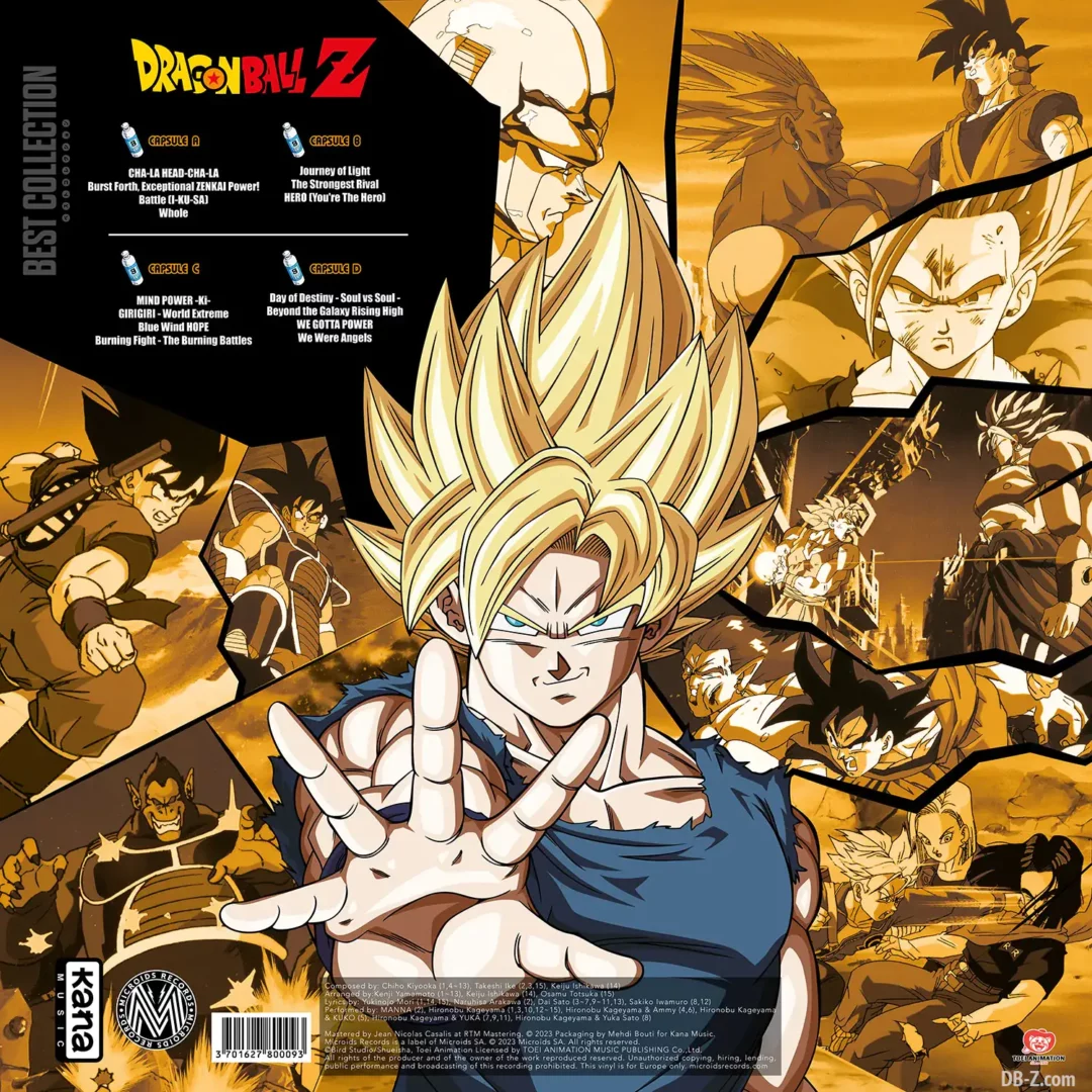 Vinyle Dragon Ball Best Collection BACK