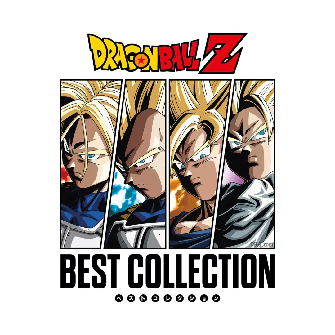 Vinyle Dragon Ball Best Collection FRONT