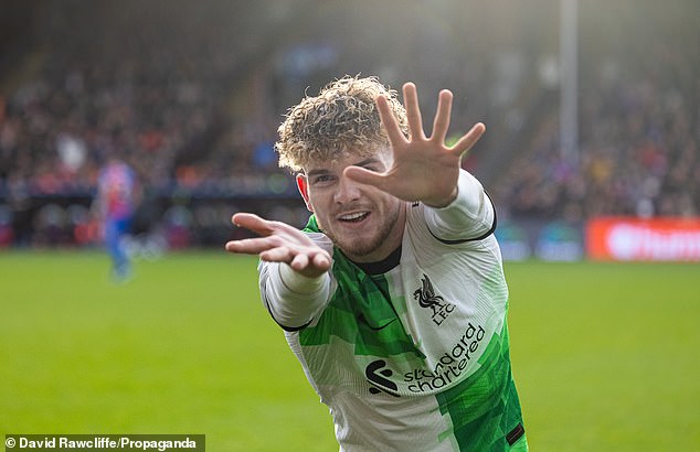 Harvey Elliott Dragon Ball