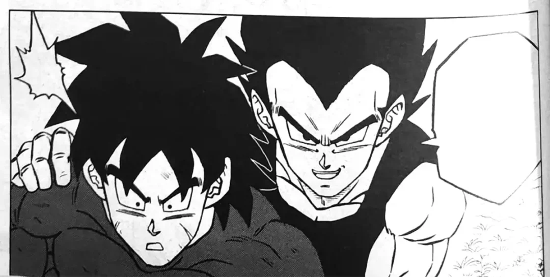 Sans titre 2 copie