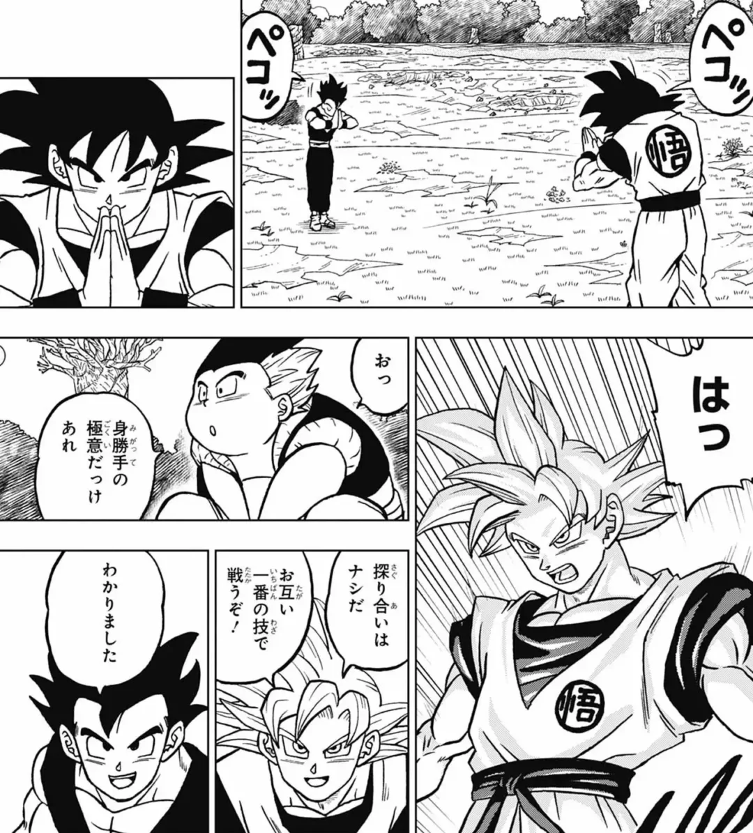 Leak Dragon Ball Super Chapitre 102 Image 13