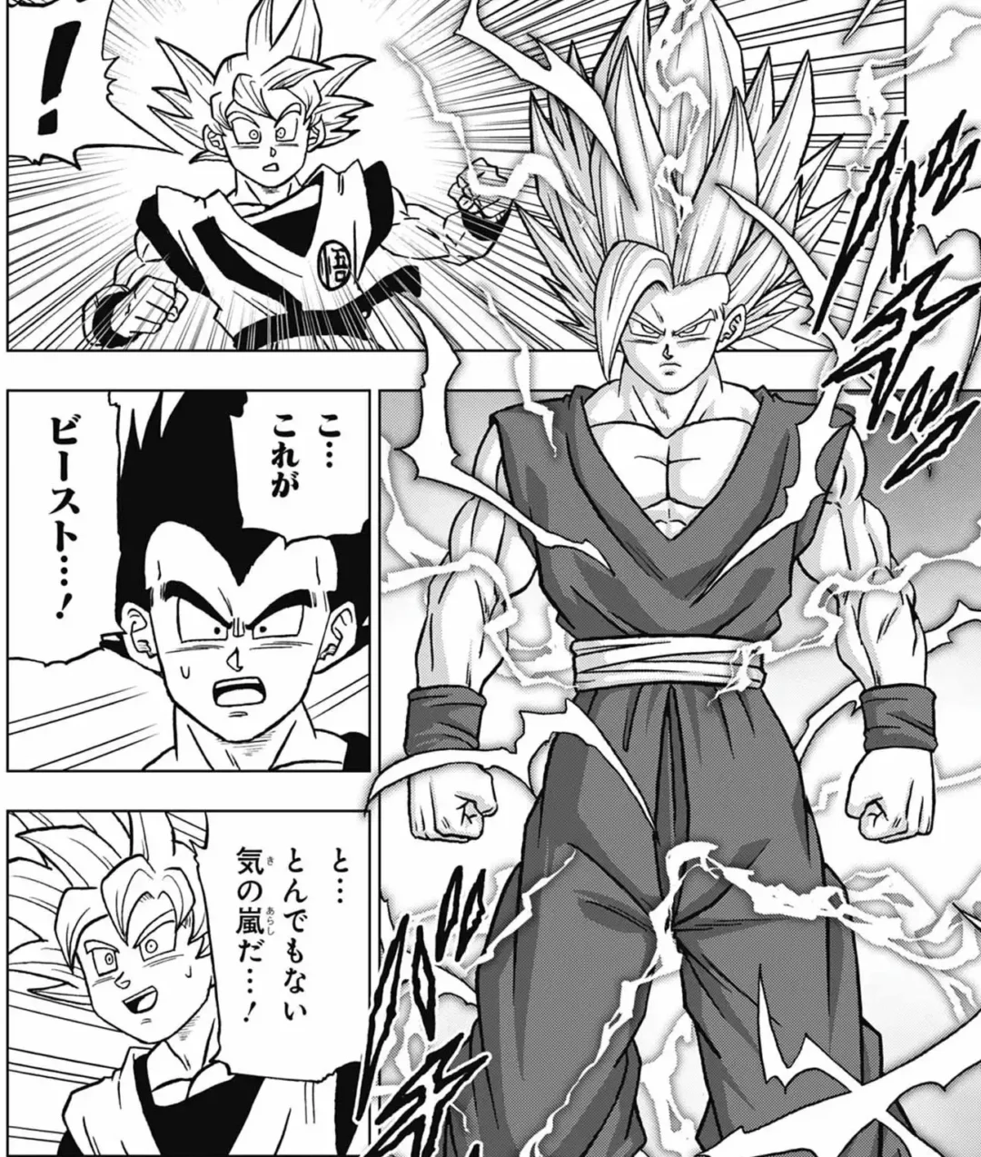 Leak Dragon Ball Super Chapitre 102 Image 15